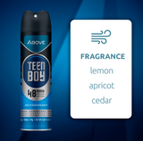 Above Teen Boy 48h Antiperspirant Spray 5.07 fl oz