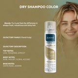 Above Dry Shampoo with Blonde Color Shine & Softness 5.07 fl oz